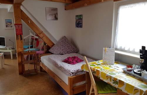 Ferienwohnungen wie im Süden Großostheim - Foto 57