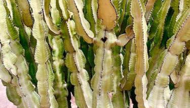 Casa Buna Colorada - Photo 4