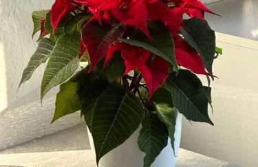 Helpens Hof - Foto 11