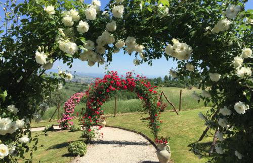 Agriturismo Tenuta Capitolini - Photo 50