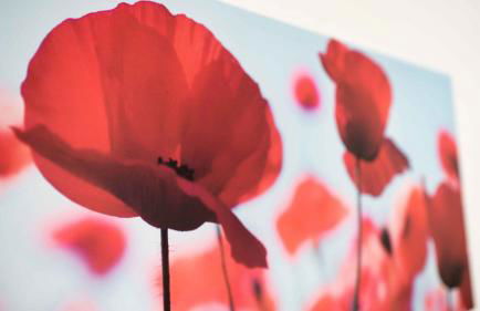 Work and Stay Apartment Balcony - Foto 7