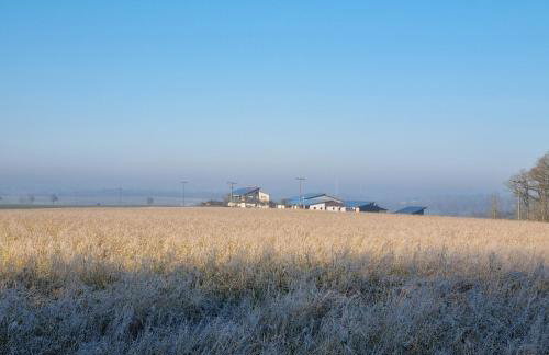 Eiselehof Ferienwohnungen in Alleinlage - Foto 62