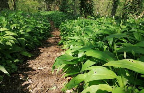 Old parish barn - Photo 36