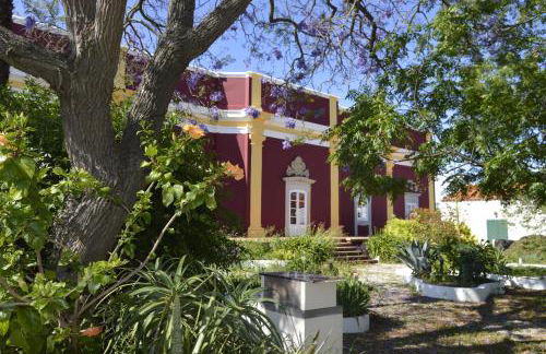 Hortas de Baixo - Foto 14