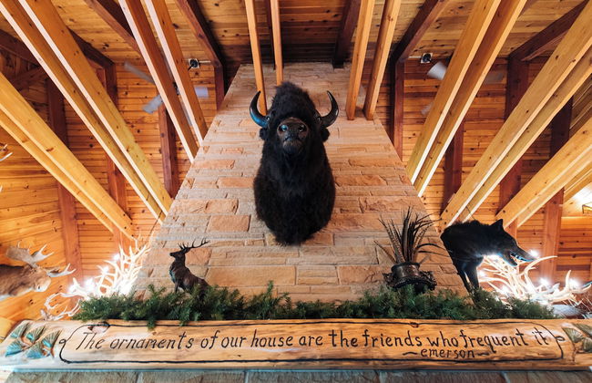 Grayling Gem Royal Stag Lodge - Foto 40