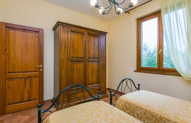 Rosa+Margherita+Lavanda+Ginestra+Gelsomi - Foto 22