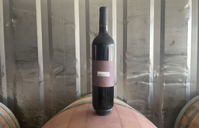 Wine country In Valle de Guadalupe - Foto 11