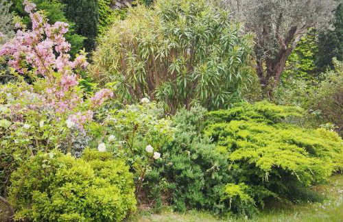 STRAVINSKY Apartments Avignon - individual wifi 1Gb - Foto 24