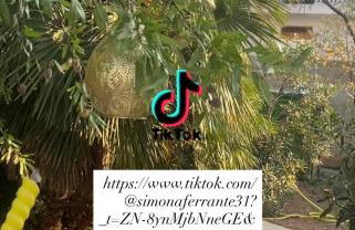 Villa a due passi dal mare "Cicogne Apartment" con BBQ e parcheggio gratuito a due passi dall'Aeroporto - Foto 12