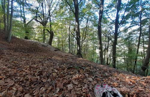 Ca la Cari, caseta rústica i acollidora - Foto 19