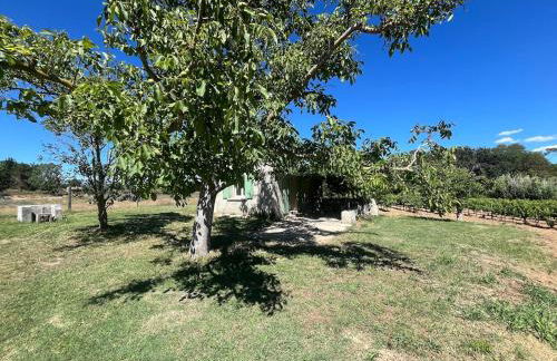 Charmant Cabanon Provençale à Montfort-sur-Argens - Foto 10