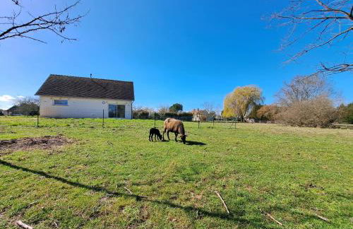 Le Bonheur est dans le Pré. - Foto 18