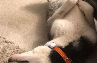 The Long Hall 2 bed ground floor annexed apartment - sleeps 6 - Foto 17