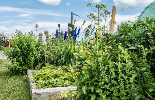 Nowe Miejsce Brzegi - Foto 8