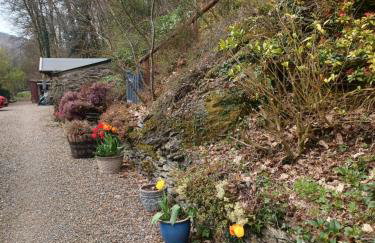 Rural retreat - Godremamog Mill - Photo 8