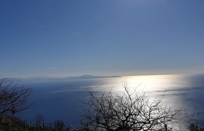 Agriturismo Mare e Monti - Foto 77