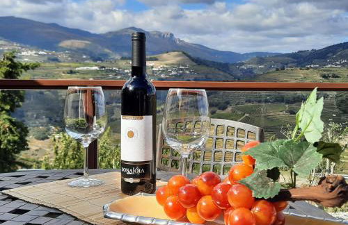 Quinta do Pombal - Douro - Camila's - Foto 20