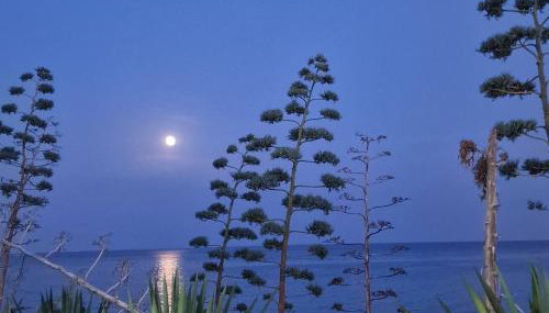 Villa zefiro - Photo 4