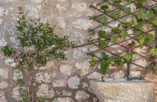 Gioia Traditional House - Photo 21