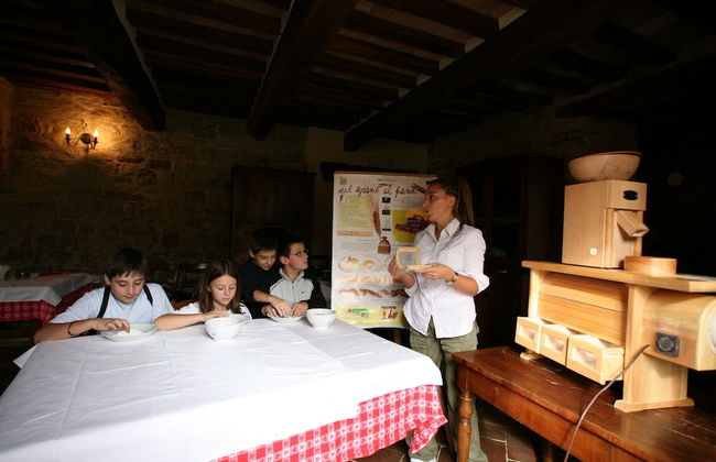 Bio Agriturismo La Cerqua - Foto 87