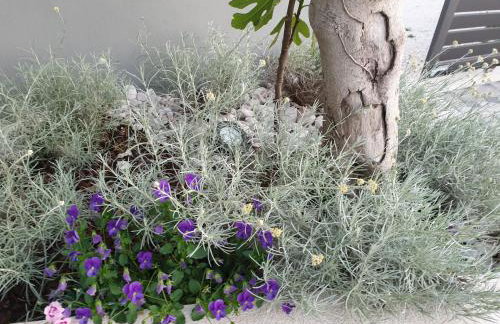 villa flores - Foto 16