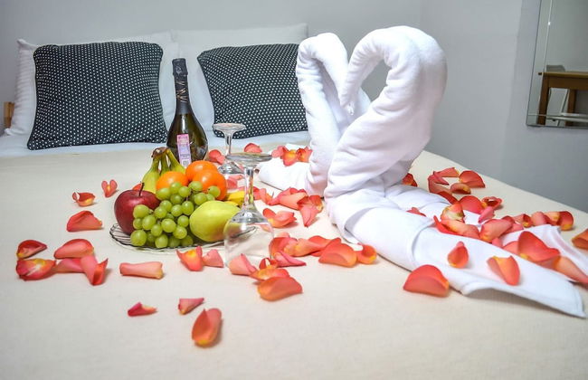 Norke Novoryazanskaya - Photo 3