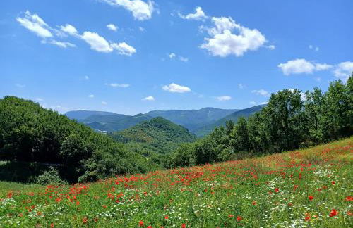 Agriturismo del Frontino - Ca' Marianna - Foto 29
