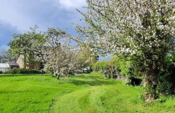 Mid-Wales Farmhouse, swimming pool, tranquil countryside views, sleeps 14 - Foto 56