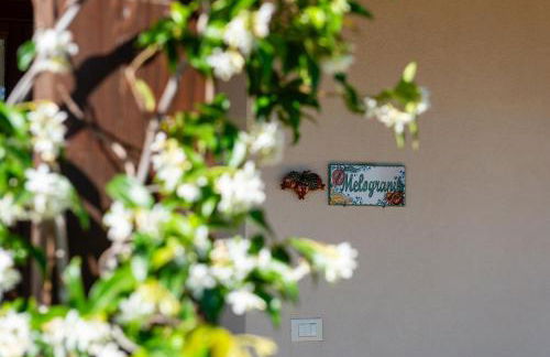 Agriturismo Dispenza - Foto 118