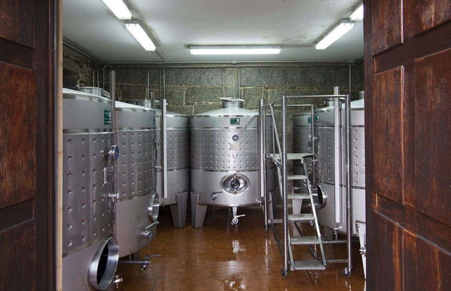 Visite de la cave Corisca - Photo 3