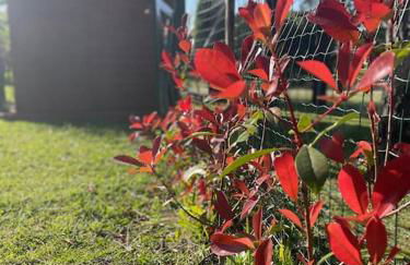 À Beira Lago - Casa de férias - Foto 15