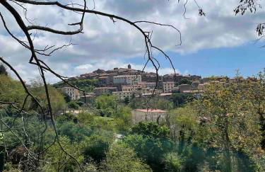 Antica casa nel borgo medievale di Prata - Foto 31