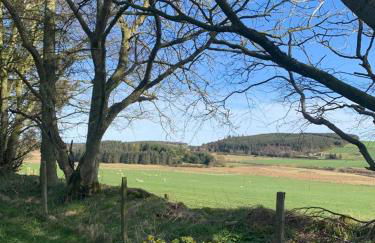 Bruxie Holiday Cottages - Honeysuckle Cottage - Foto 19