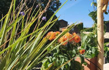 L'Exquishette de Lourmarin, un nid sur les toits. - Foto 24