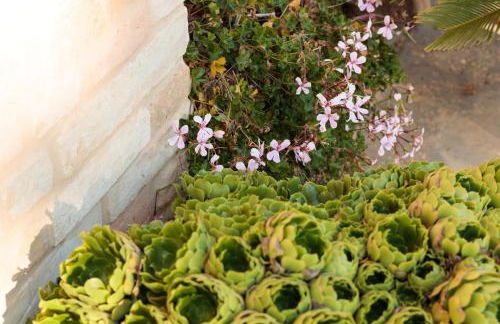 Casolare della Quiete Corridonia - Foto 66