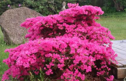 Tom olen Stien - Heidjer Ferien - Foto 6