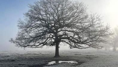 Turing Lodge, near Hampton Court - Foto 4