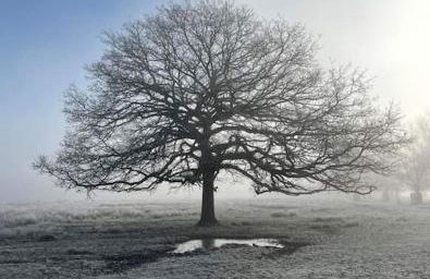 Turing Lodge, near Hampton Court - Foto 4