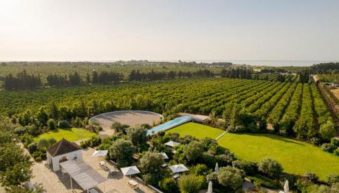 Casas da Quinta de Cima - Foto 5