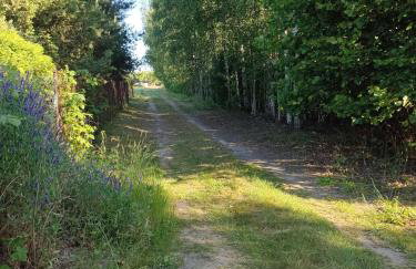 Domek nad Wkrą, okolice Sochocina, kajaki - Foto 29