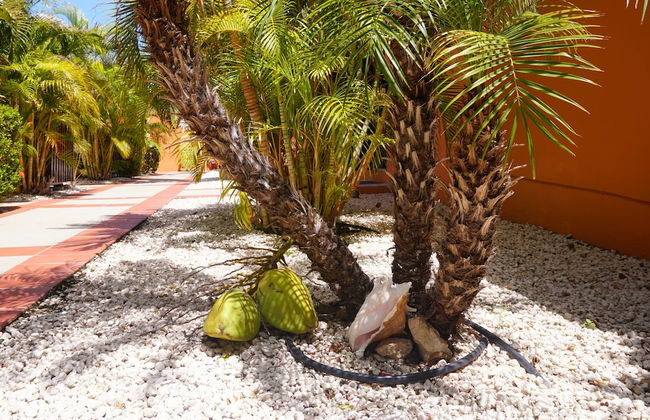 Cariñas Studio Apartments - Foto 21