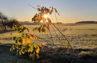 Altes Siedlerhaus Nesebanz - Foto 22