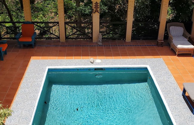 Turtleback Pavilion - Foto 22