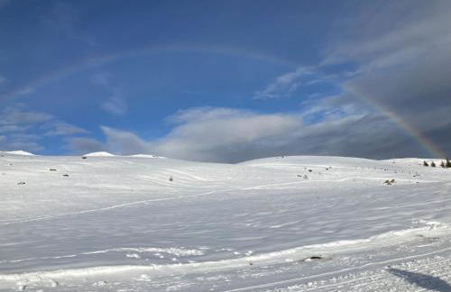 Chalet Les Hellebores - Foto 24