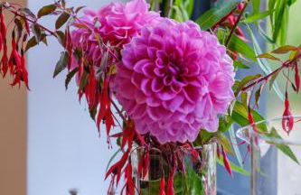 Mission Lodge - Foto 7