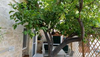 Petra VORI House - Foto 5, Garden view