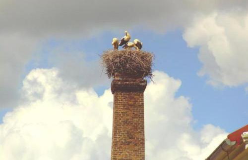 Apartment Appartement in Meiersberg mit Grill by Interhome - Foto 12