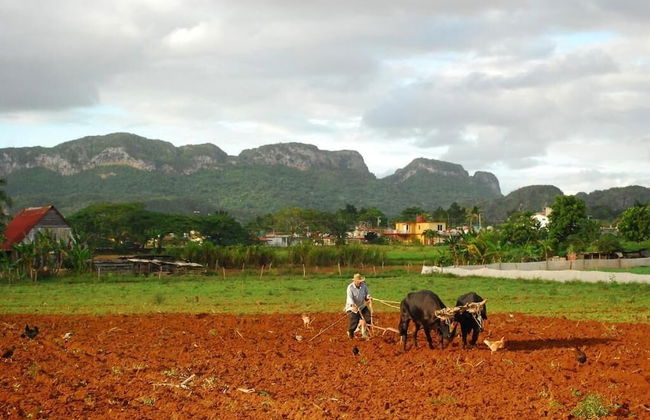 Holiday rental in Viñales with garden and terrace - Photo 31