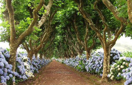 Lia's House - Photo 6