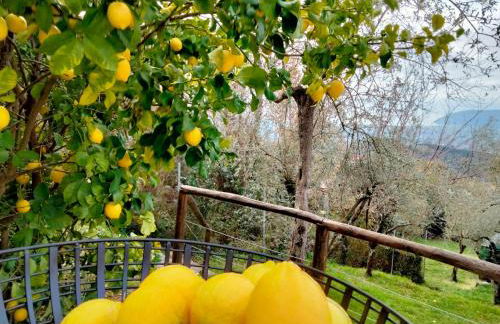 A CASA DI OLIVO - Foto 27